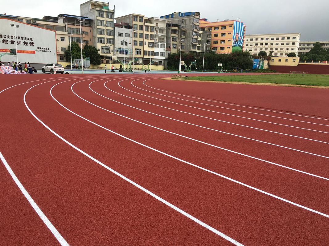 海口市EPDM颗粒塑胶跑道材料 - 厂家